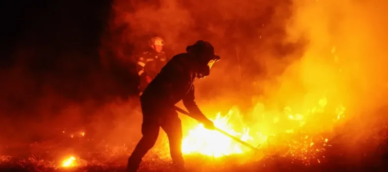 ¡Devastador! Incendios ya consumieron más de 27.000 hectáreas