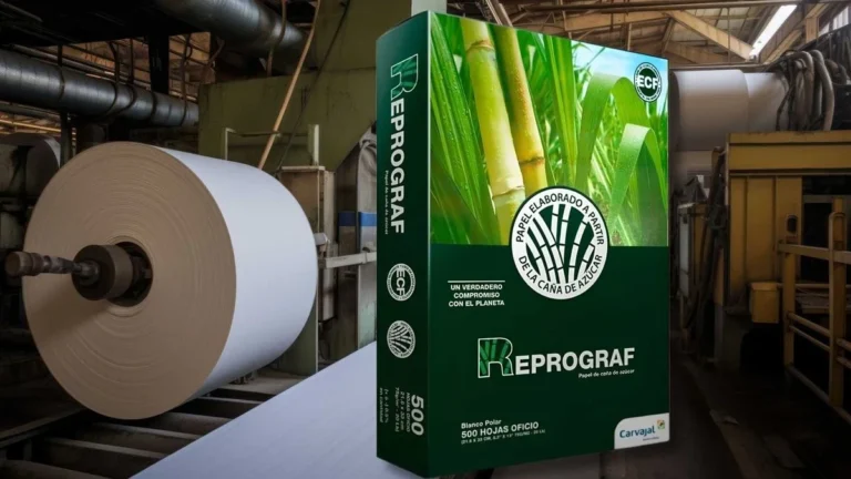 Propal pidió su liquidación y cesará operaciones